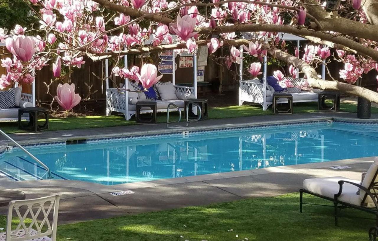 The White House Napa Valley Bagian luar foto